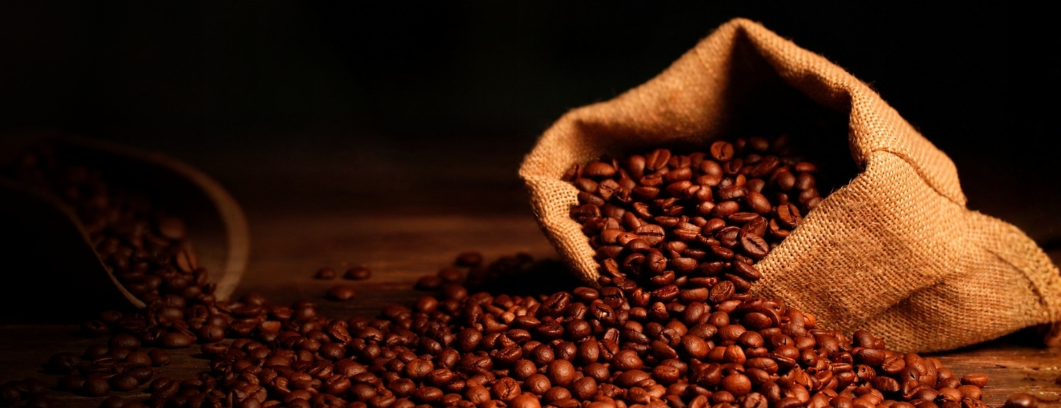 Ethiopian coffee landscape